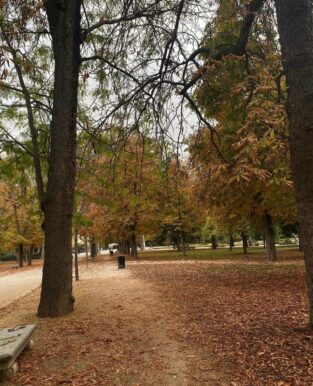 La temporada de otoño ha llegado a Madrid, y en Bastardo Hostel, estamos listos para mostrarte planes inolvidable, lleno de diversión.