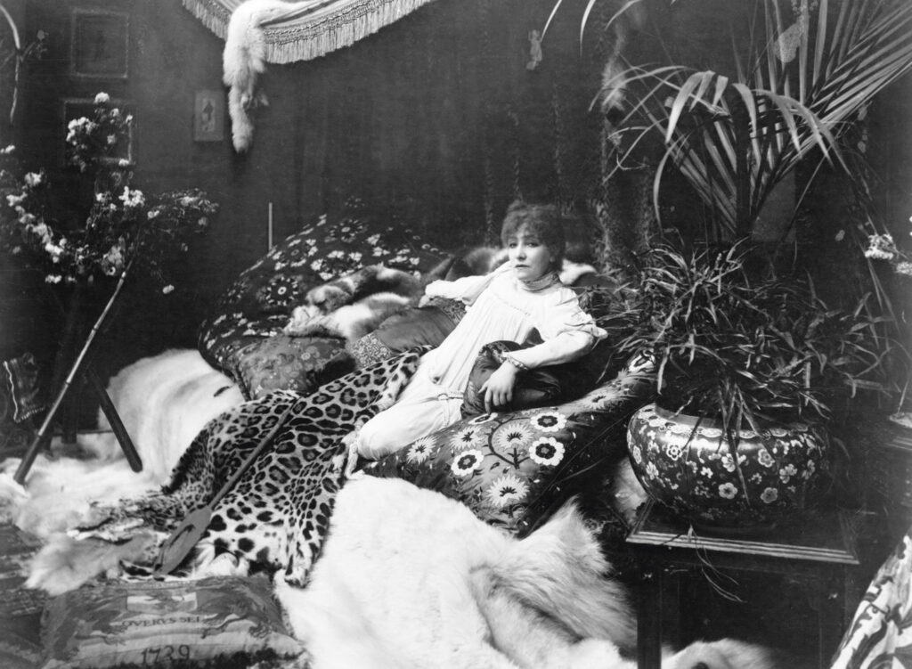 Sarah Bernhardt Bastardo Hostel Madrid Cine Historia del cine